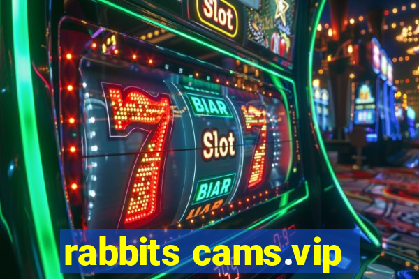 rabbits cams.vip